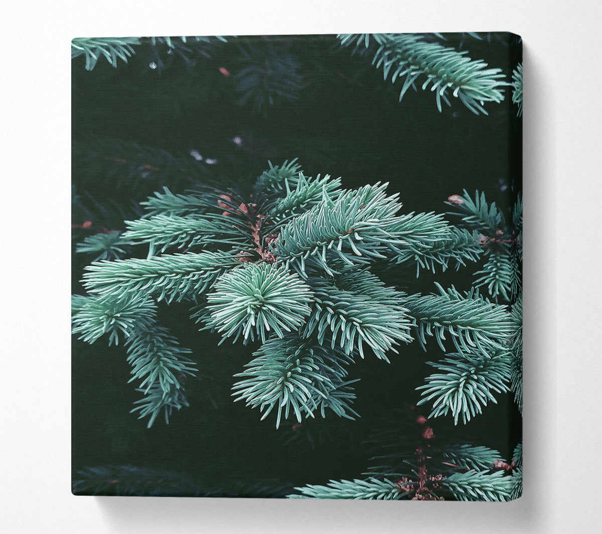 Teal Pine Sprigs Canvas Wall Art