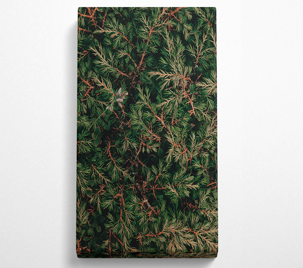 Emerald Green Branches Canvas Print