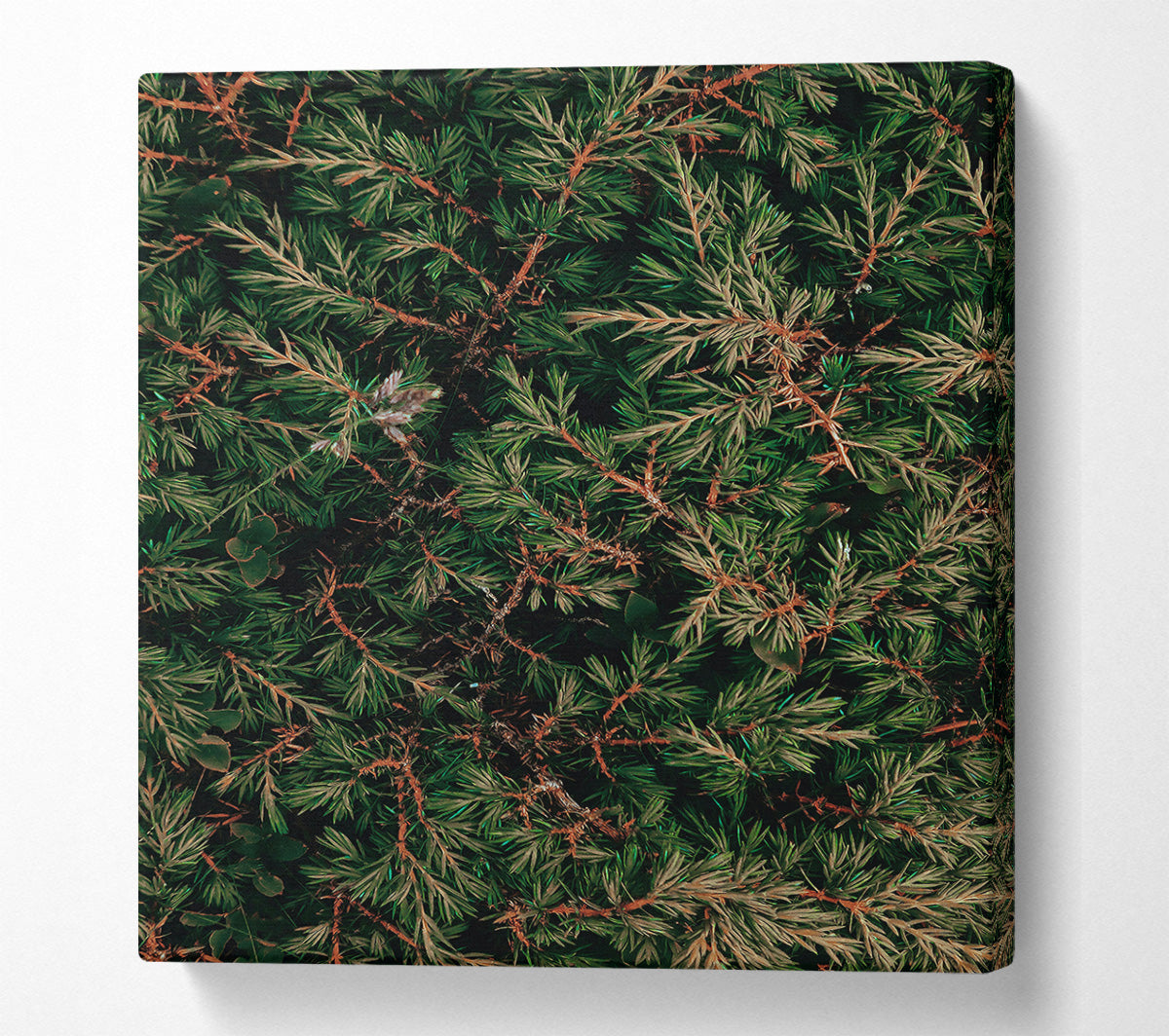 Emerald Green Branches Canvas Print