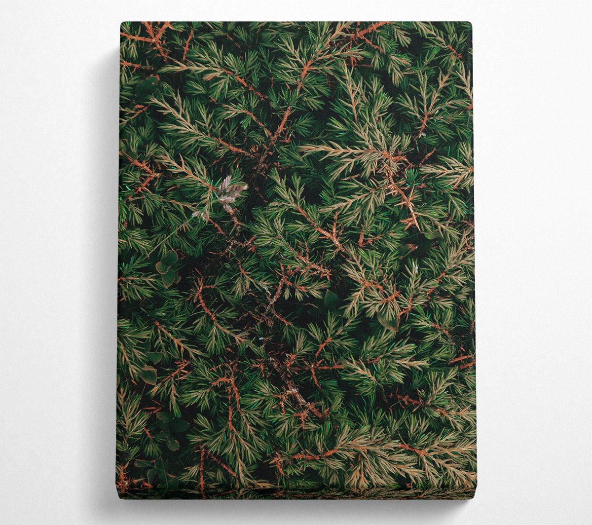 Emerald Green Branches Canvas Print
