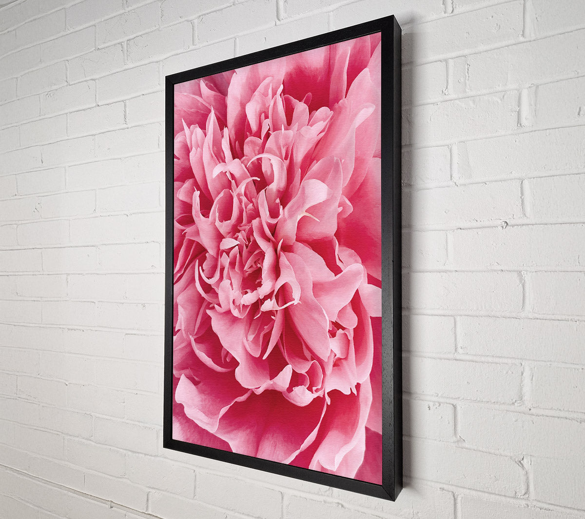 Pink Peony Embrace Canvas Wall Art