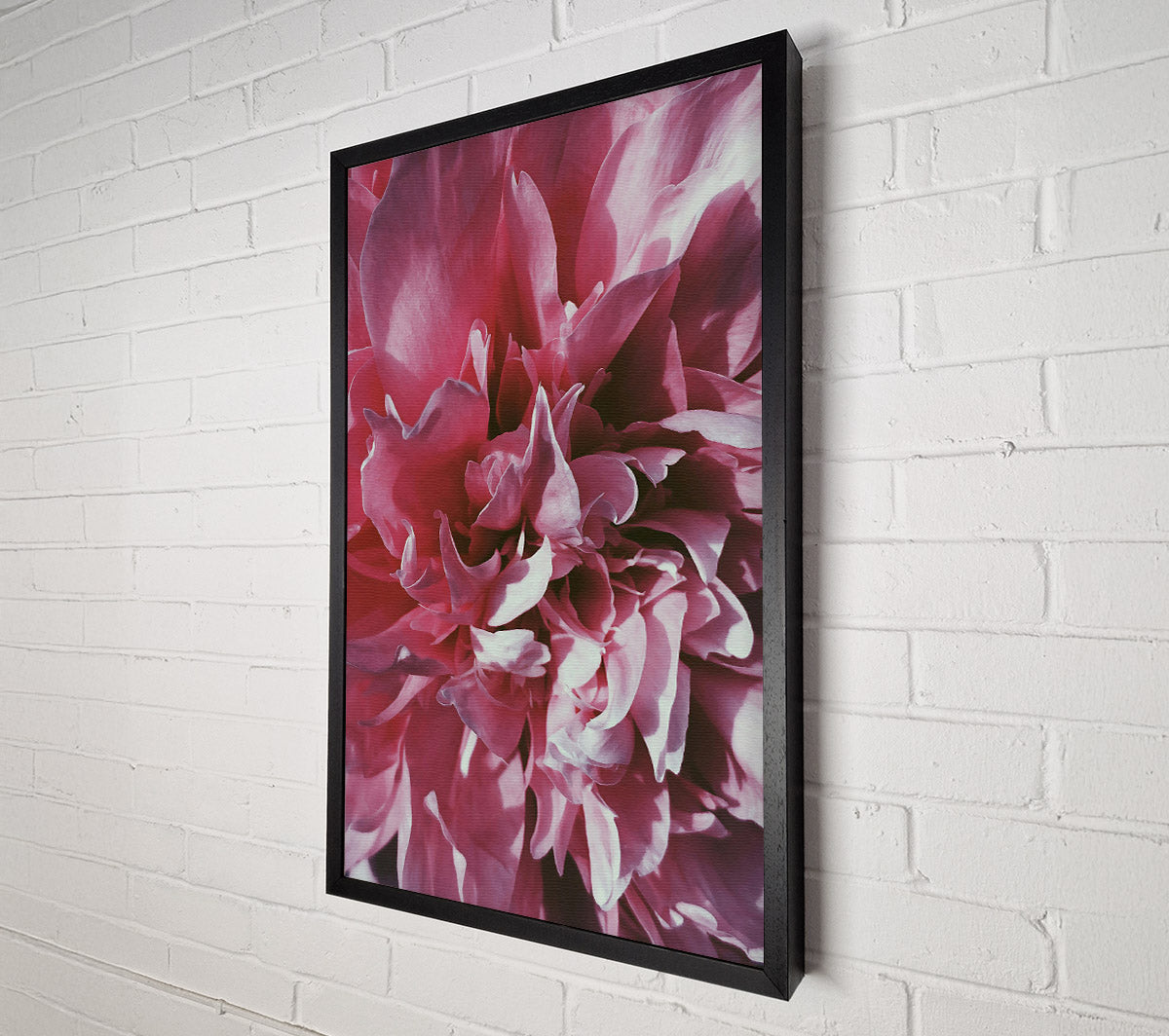 Rose Petal Embrace Canvas Wall Art