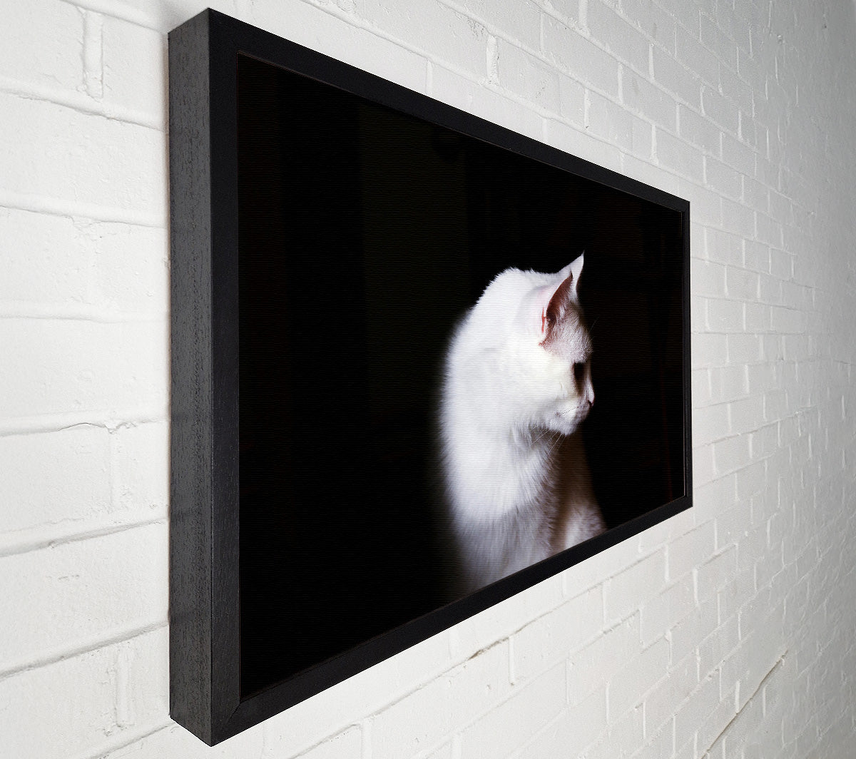 White Shadow In The Dark Canvas Wall Art