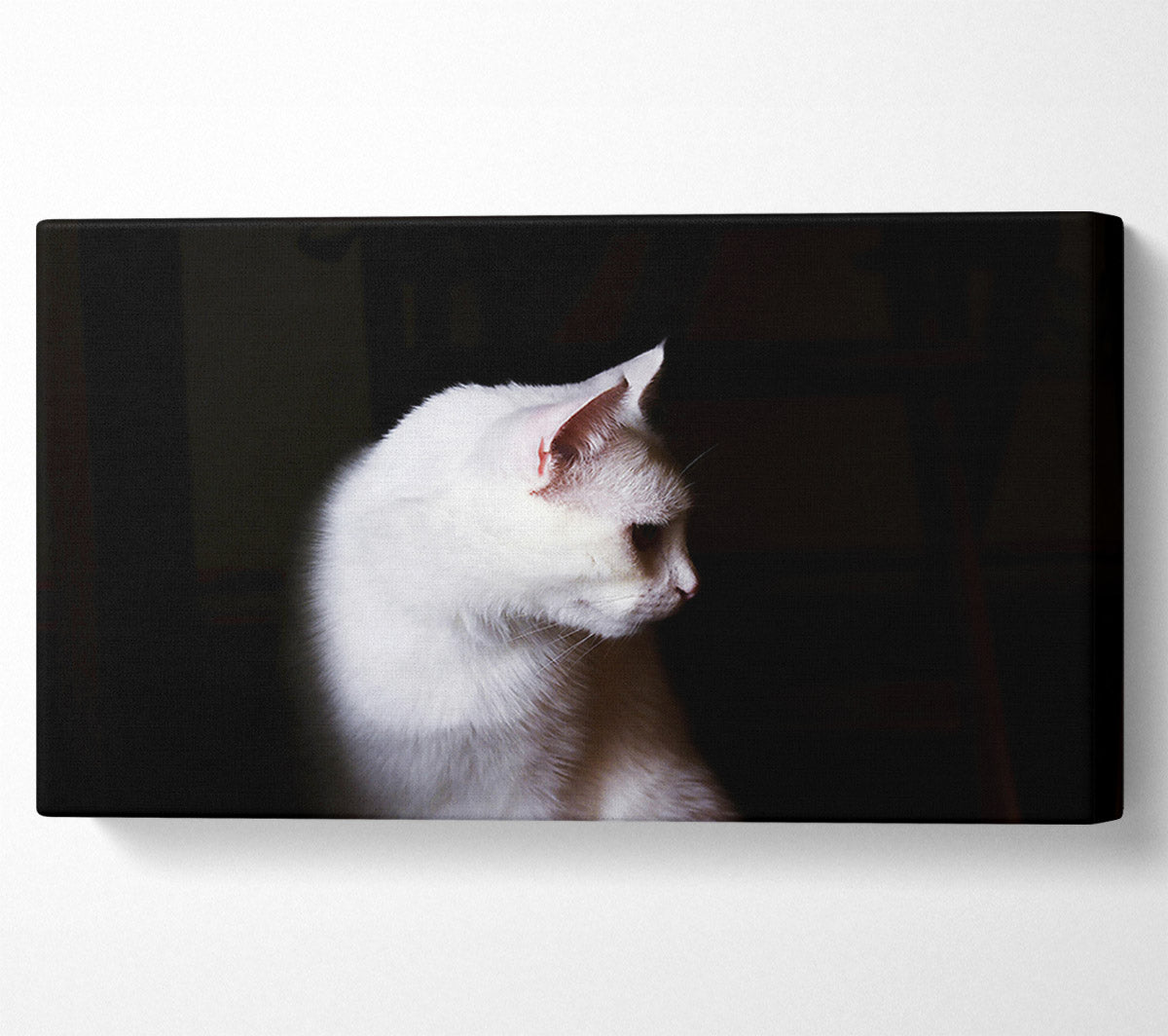 White Shadow In The Dark Canvas Wall Art