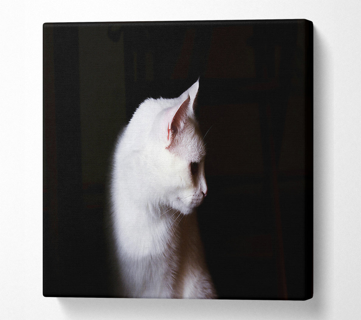 White Shadow In The Dark Canvas Wall Art