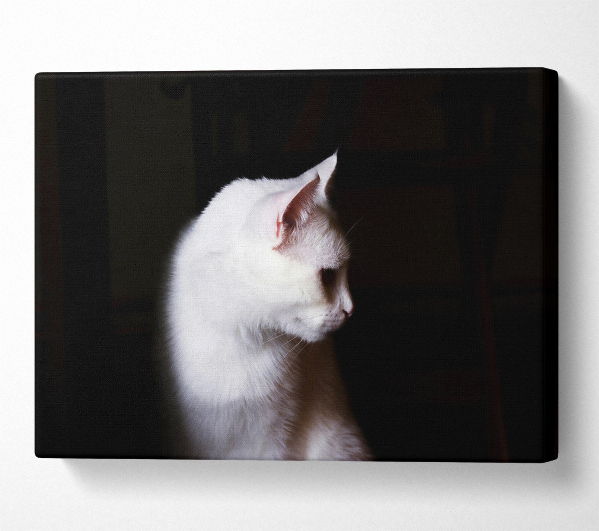 White Shadow In The Dark Canvas Wall Art