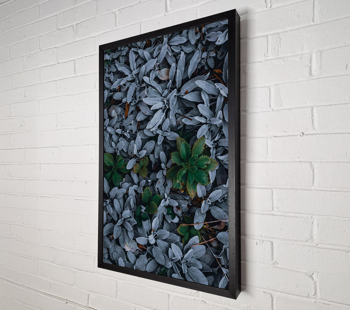 Silver & Green Foliage Canvas Wall Art