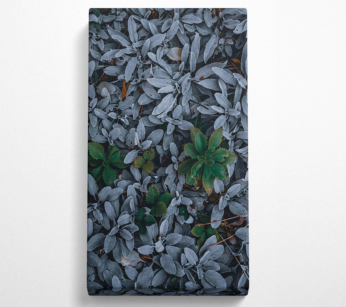 Silver & Green Foliage Canvas Wall Art
