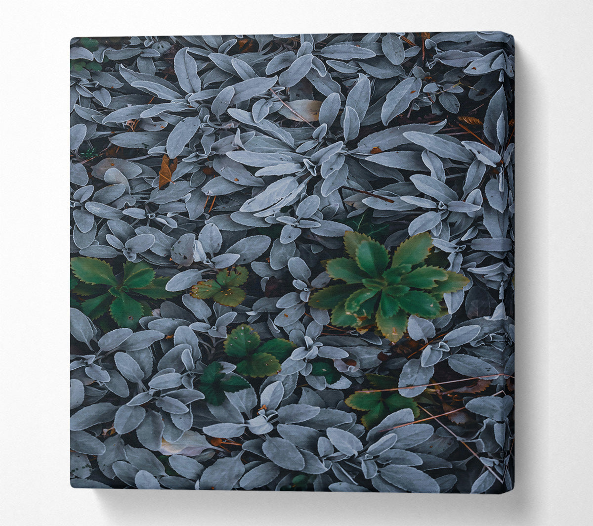 Silver & Green Foliage Canvas Wall Art