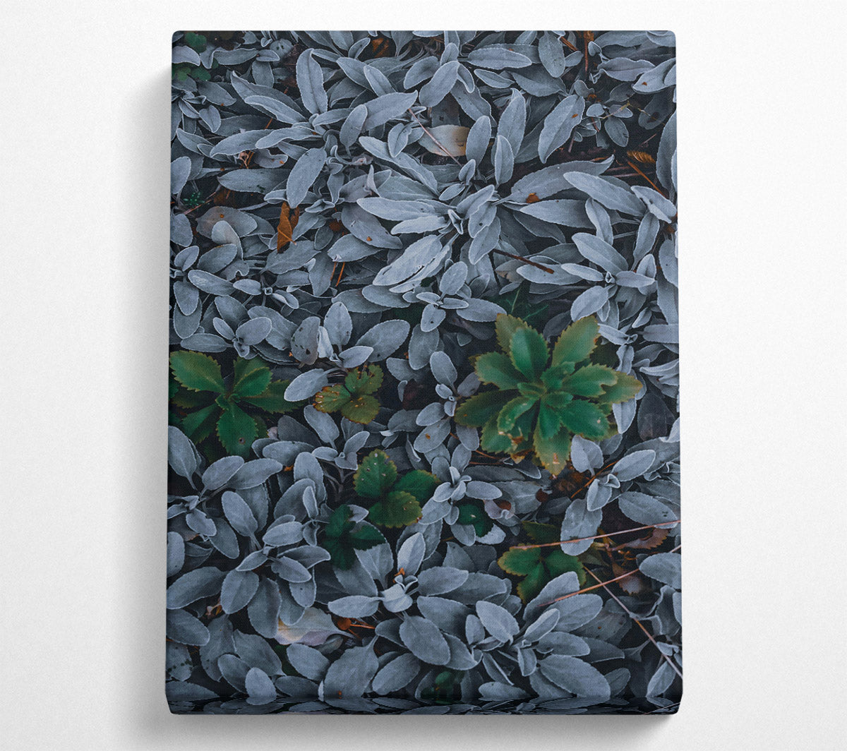 Silver & Green Foliage Canvas Wall Art