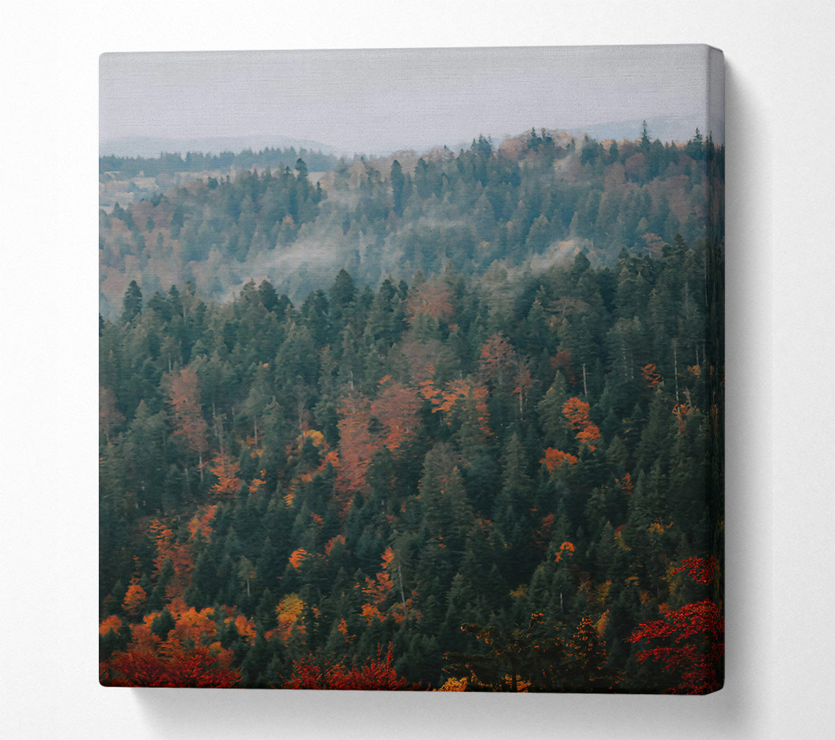 Red And Green Mist Canvas Wall Art