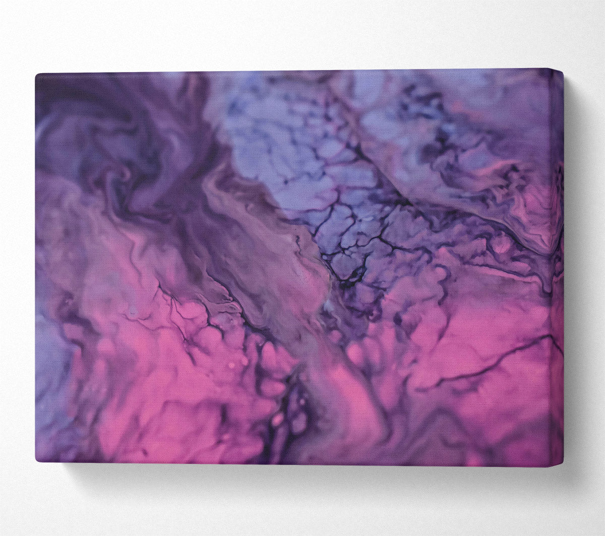 Pink And Purple Swirls Canvas Wall Art