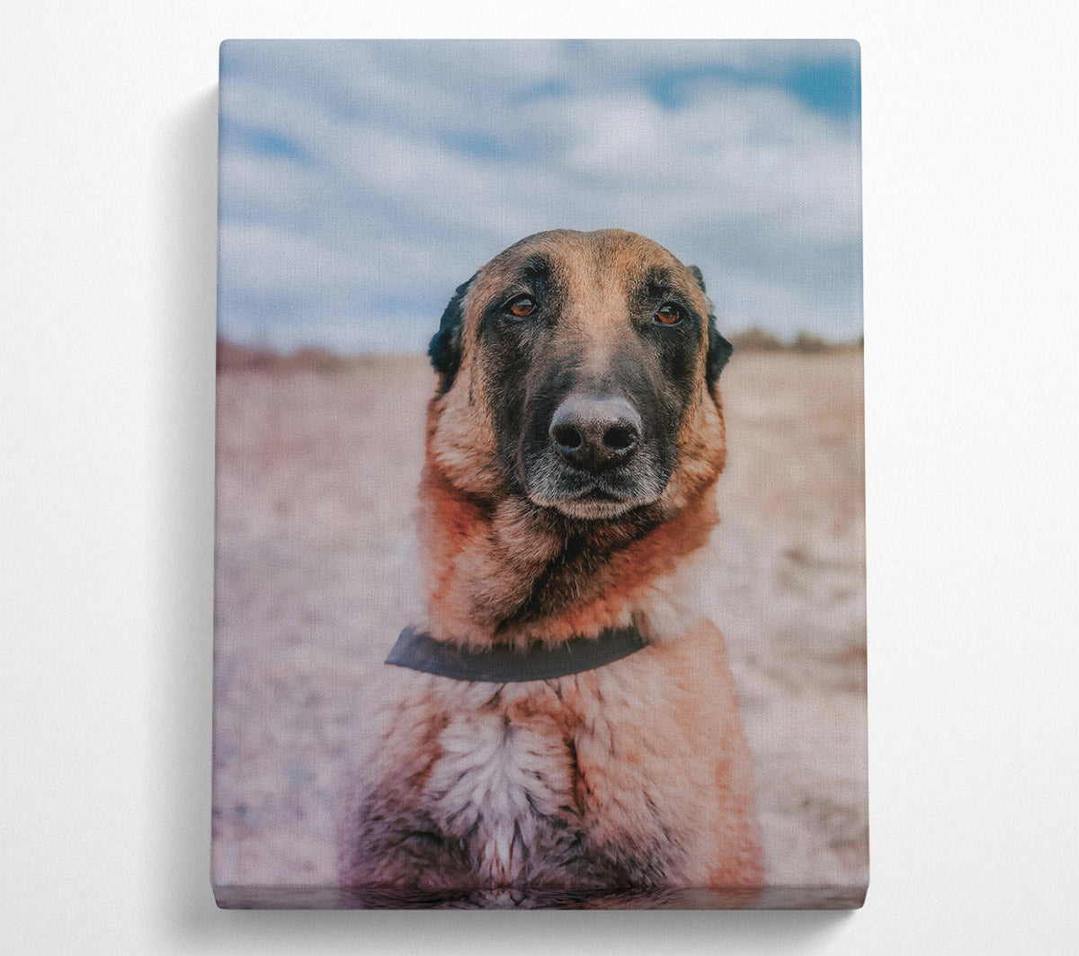 Golden Fur Portrait Canvas Wall Art