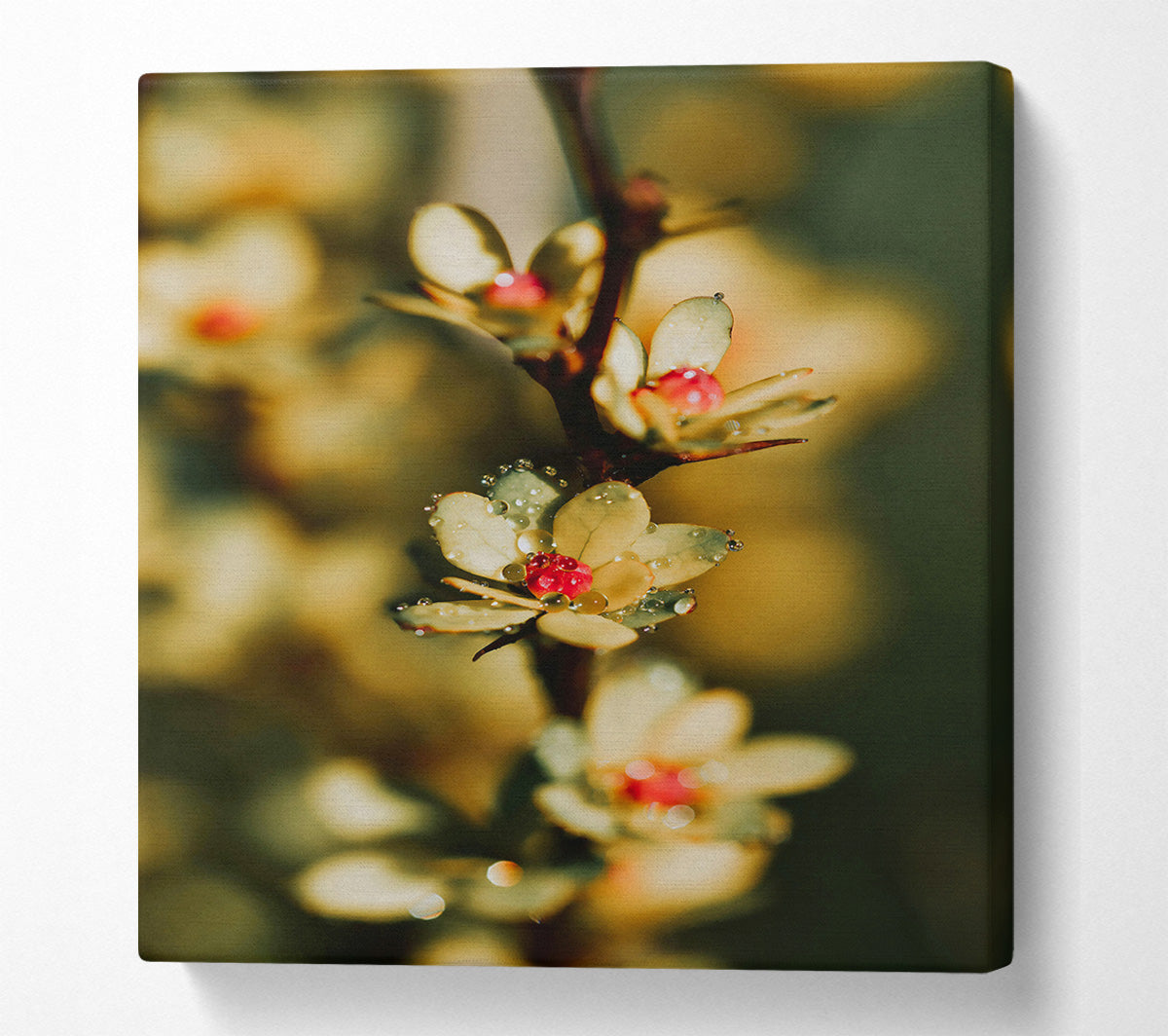 Yellow Dewy Bloom Canvas Wall Art