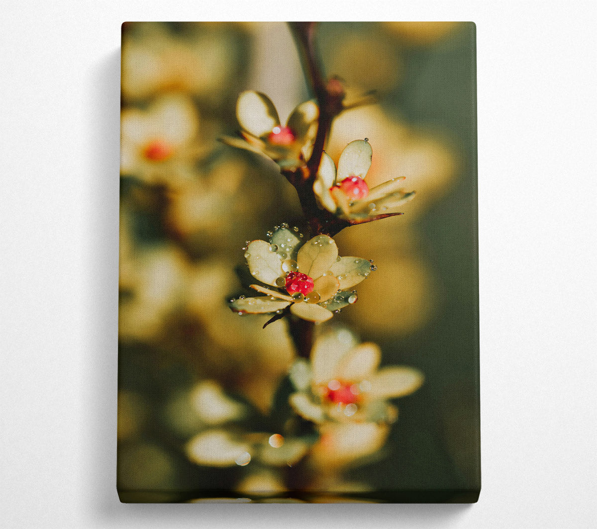 Yellow Dewy Bloom Canvas Wall Art