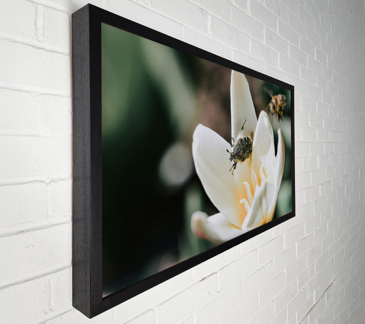 White Petal Visitor Canvas Wall Art