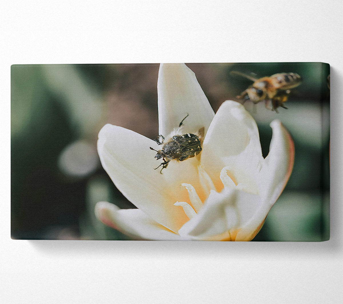White Petal Visitor Canvas Wall Art