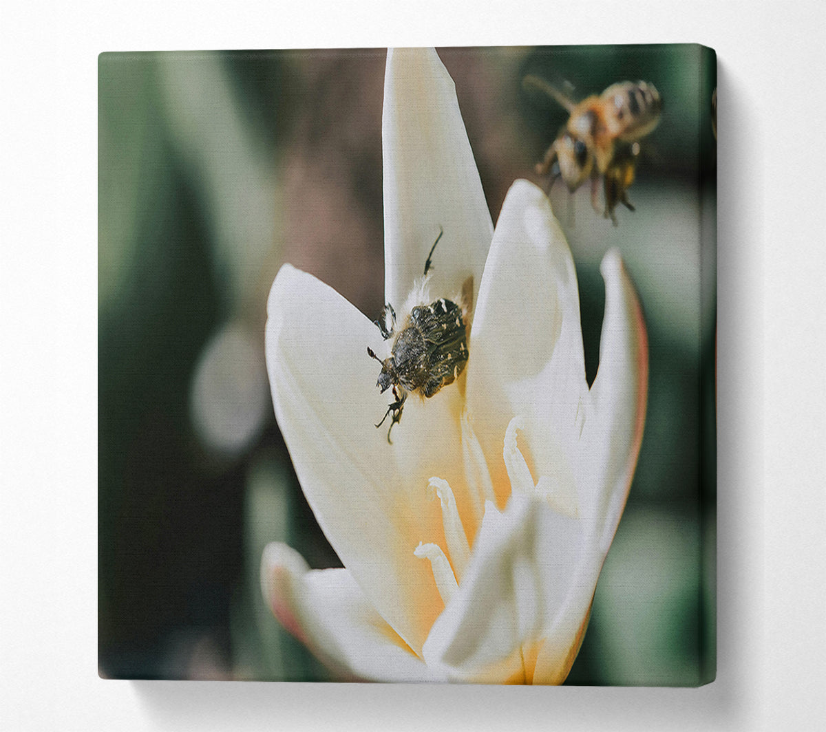 White Petal Visitor Canvas Wall Art