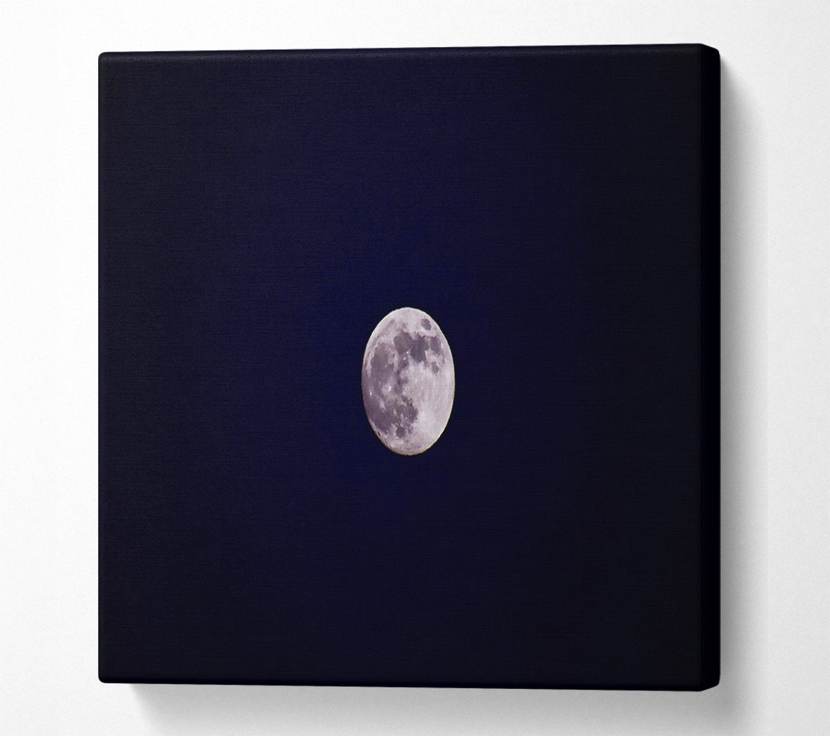 Silver Moon In Darkness Canvas Wall Art