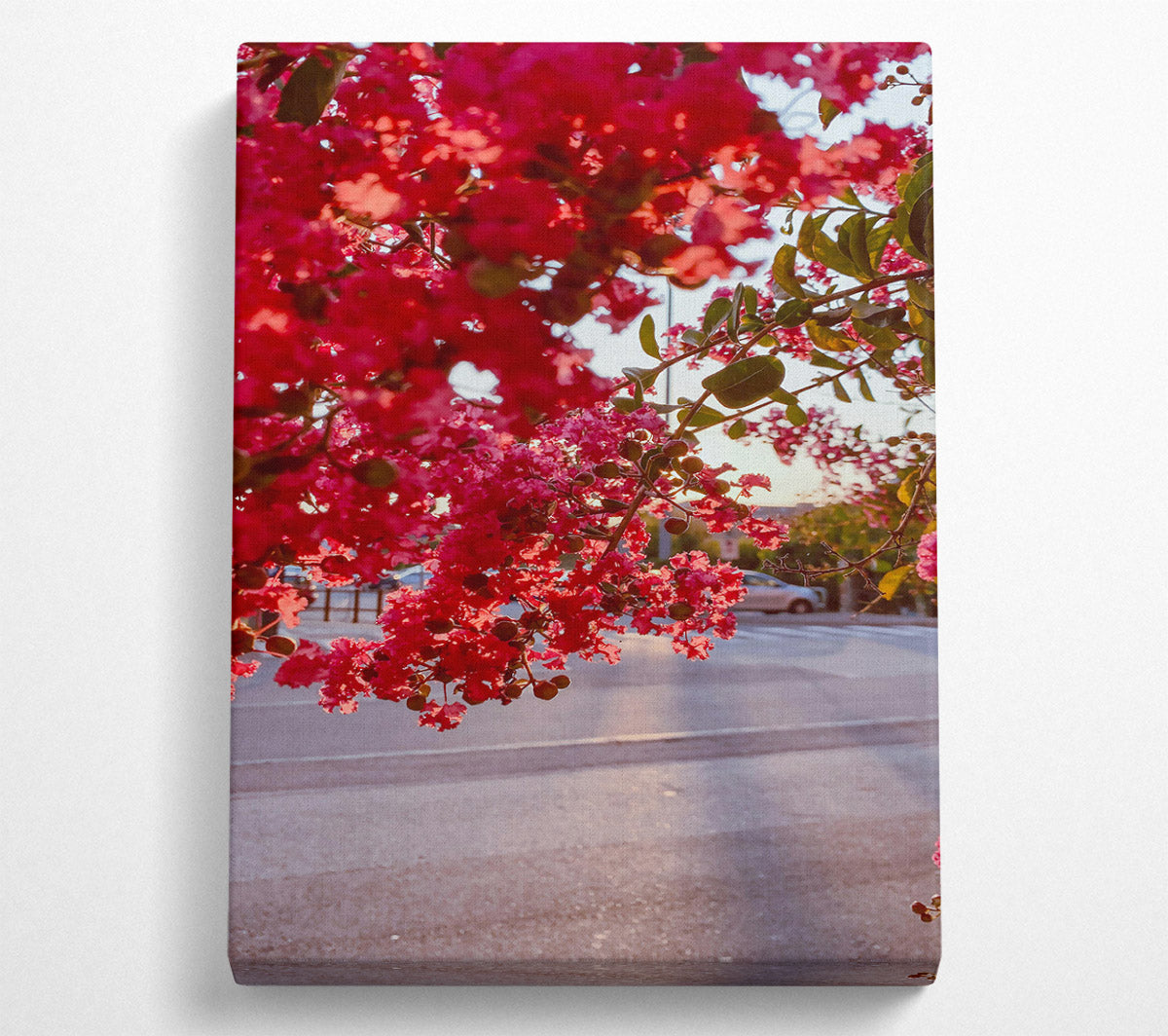 Pink Blossoms In Bloom Canvas Wall Art