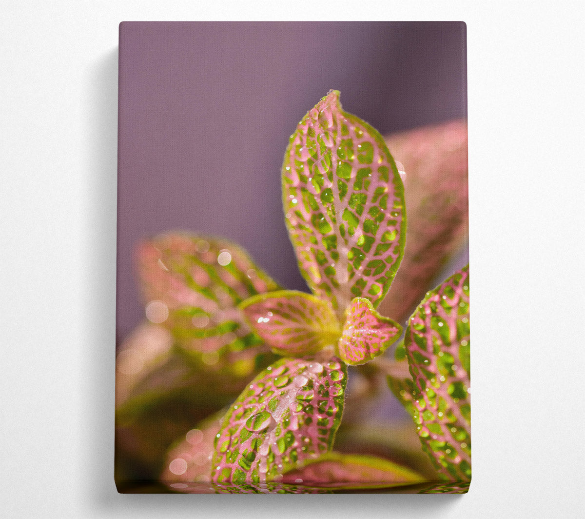 Pink Dewy Leaves Canvas Wall Art