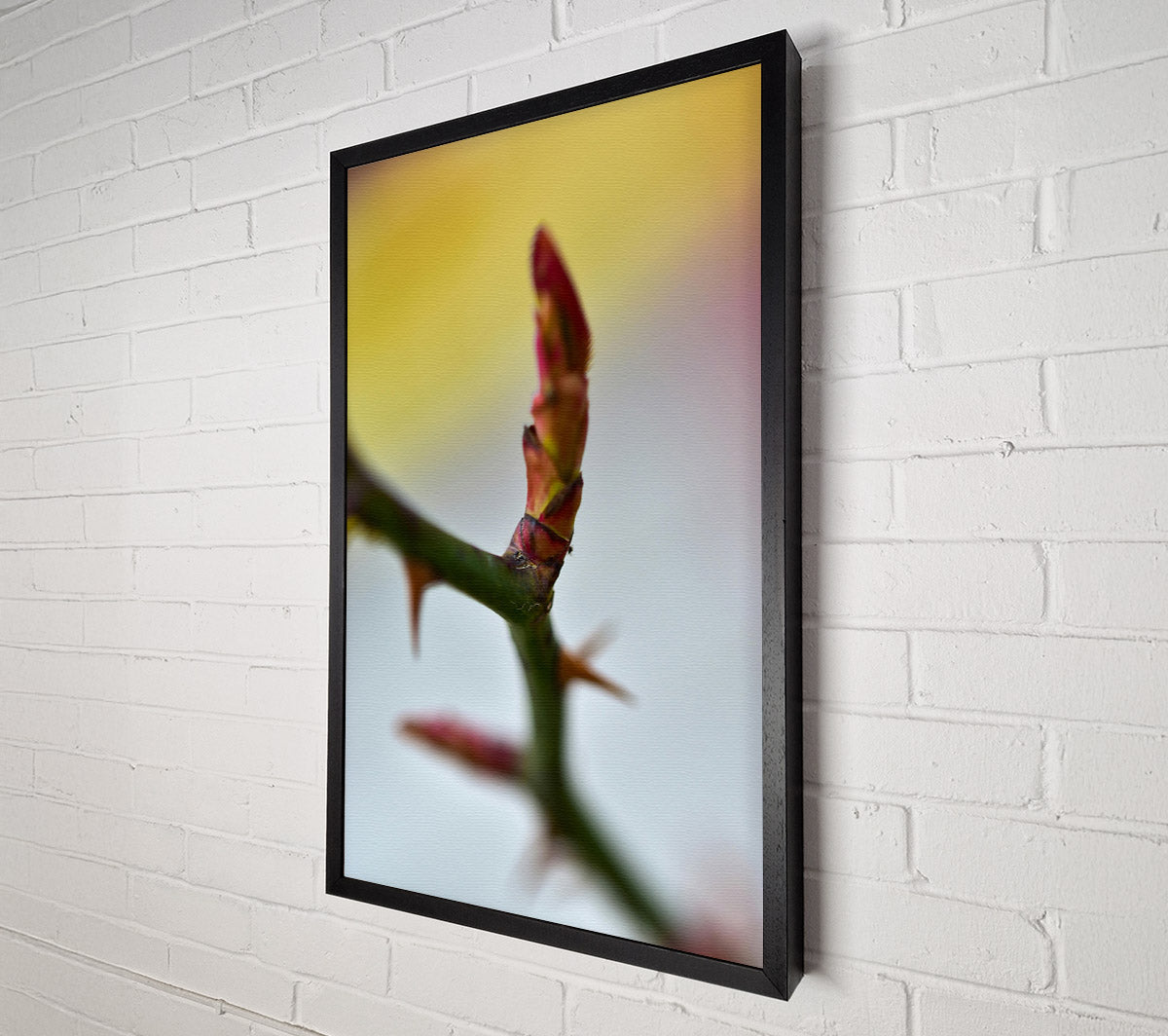 Red Rosebud Revival Canvas Wall Art