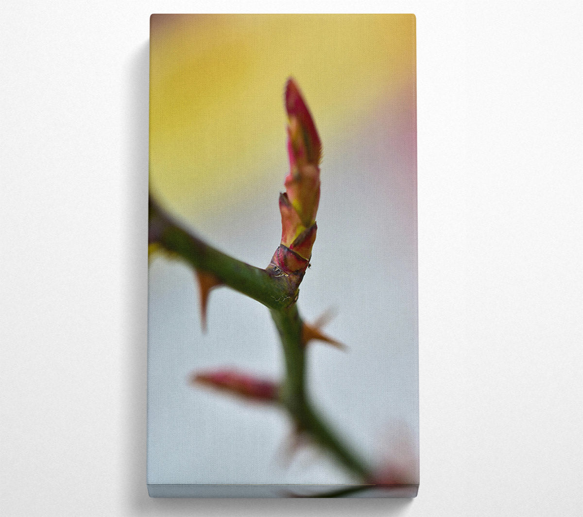 Red Rosebud Revival Canvas Wall Art