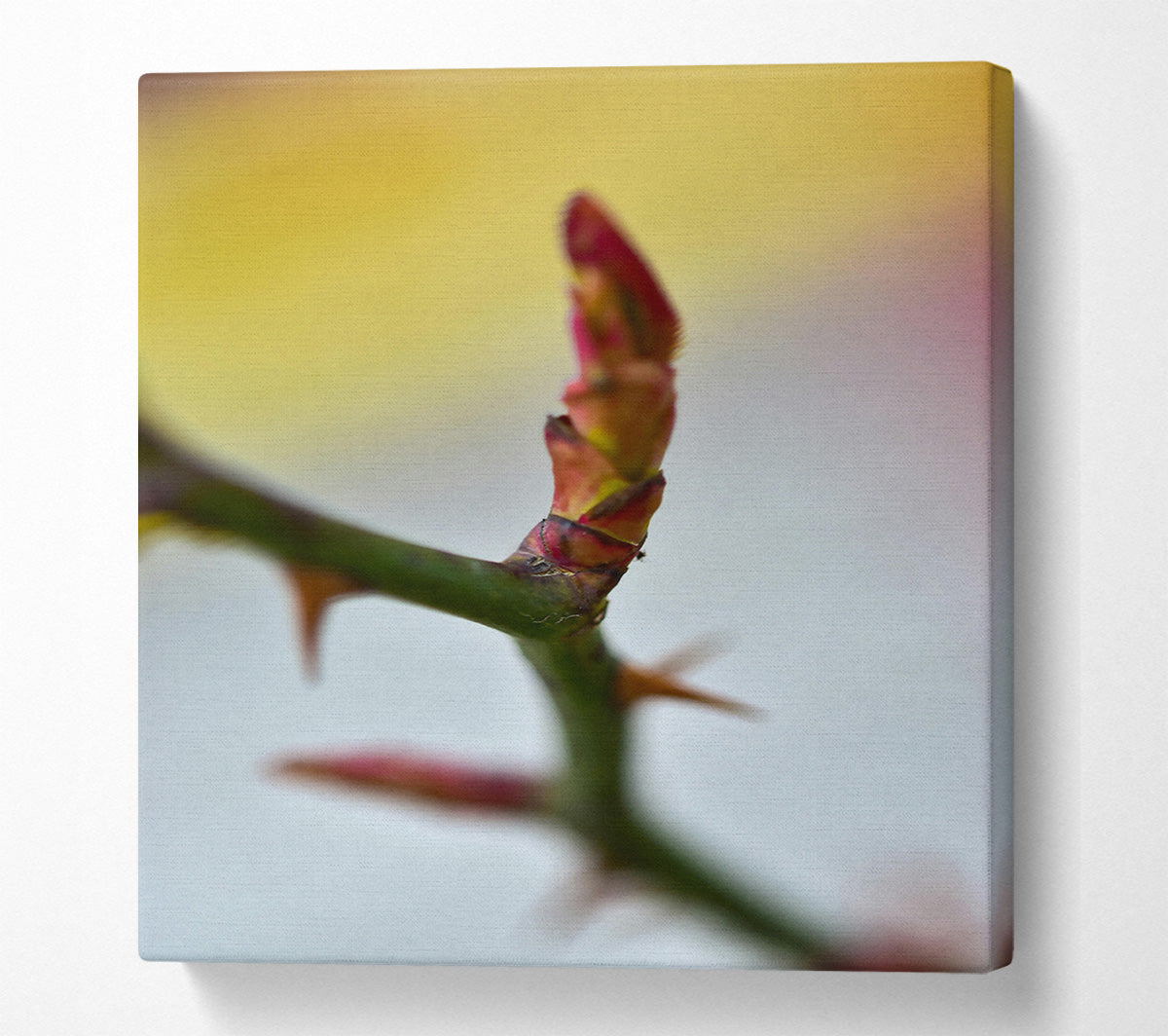 Red Rosebud Revival Canvas Wall Art