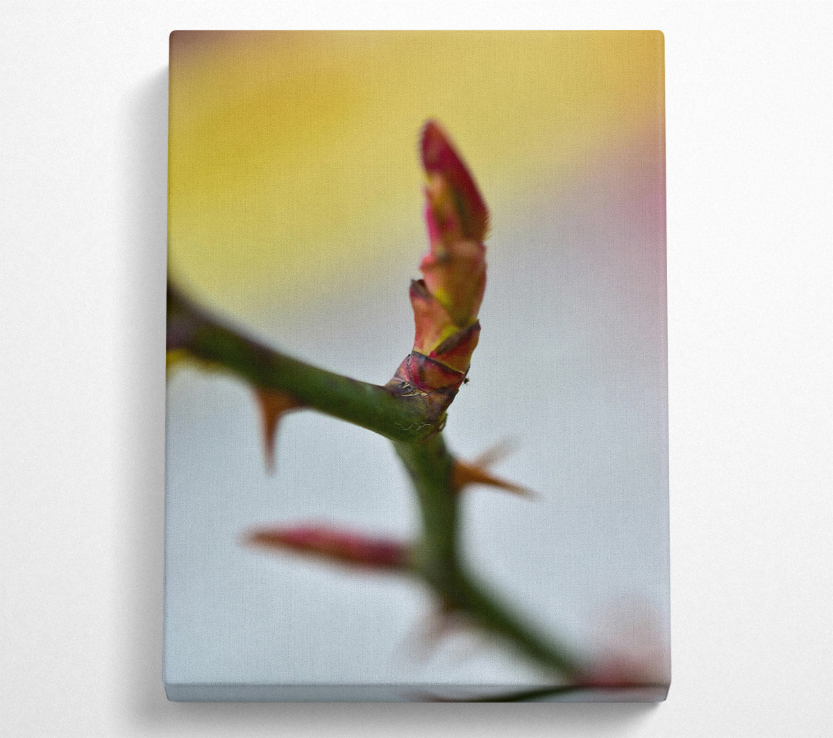 Red Rosebud Revival Canvas Wall Art