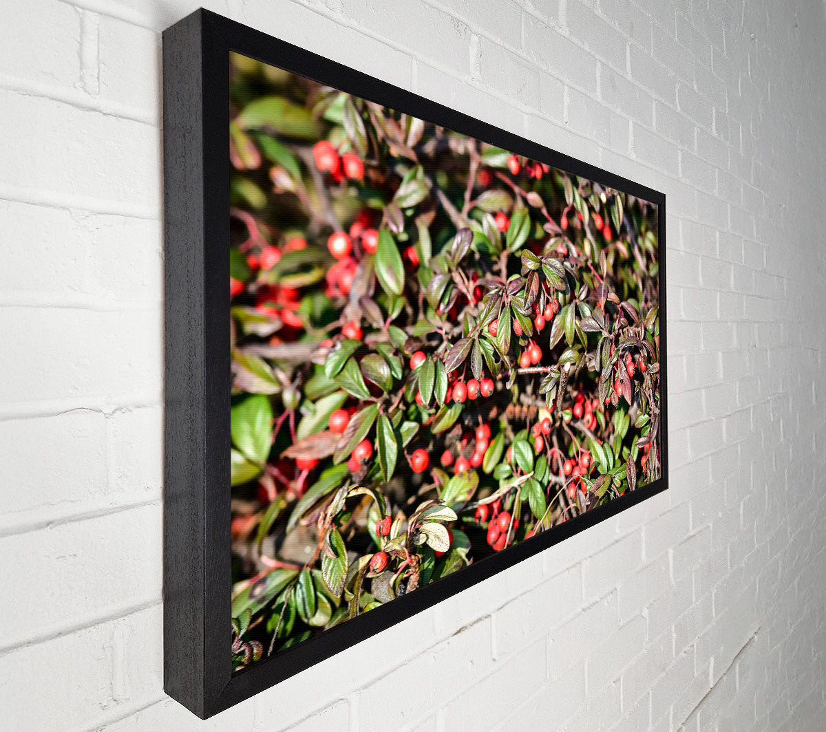 Red Berries And Green Leaves Canvas Wall Art