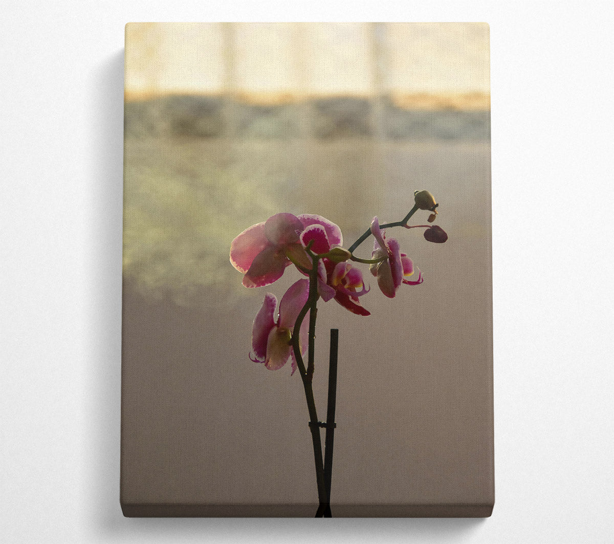 Pink Orchid Bloom Canvas Wall Art