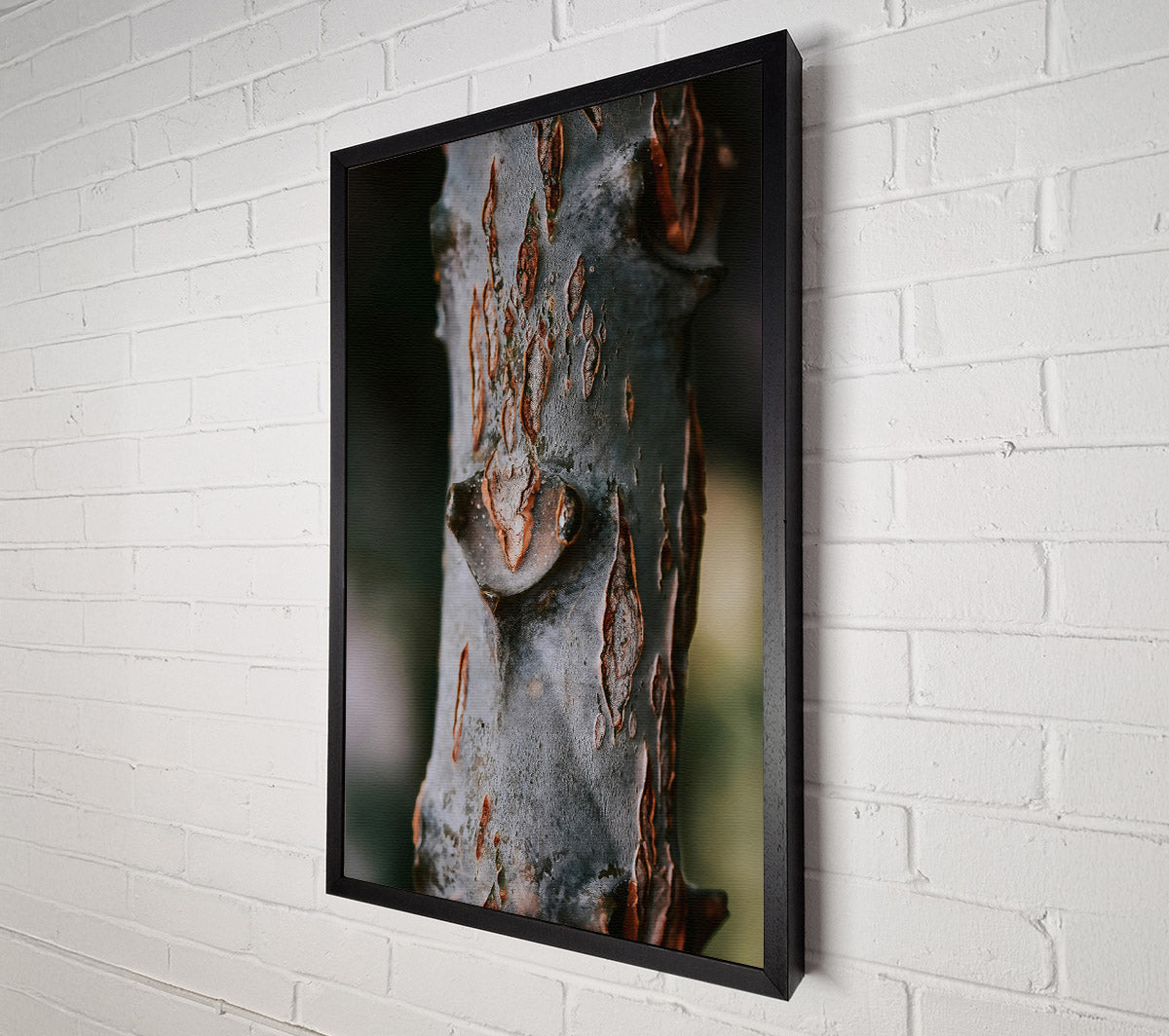 Rustic Grey Bark Canvas Wall Art