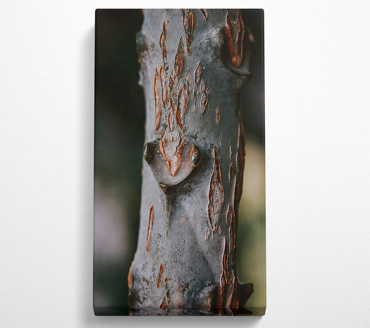 Rustic Grey Bark Canvas Wall Art