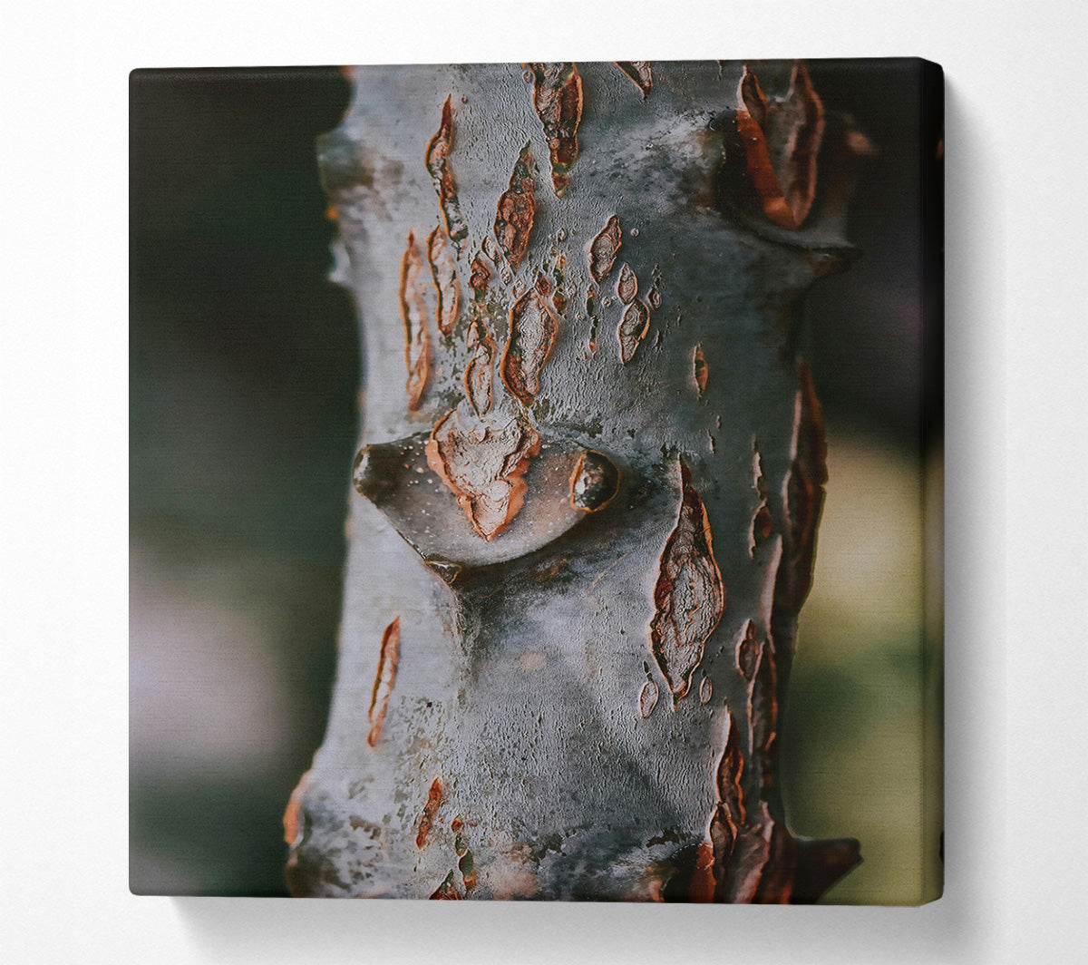 Rustic Grey Bark Canvas Wall Art