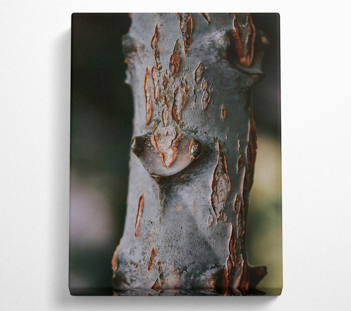 Rustic Grey Bark Canvas Wall Art
