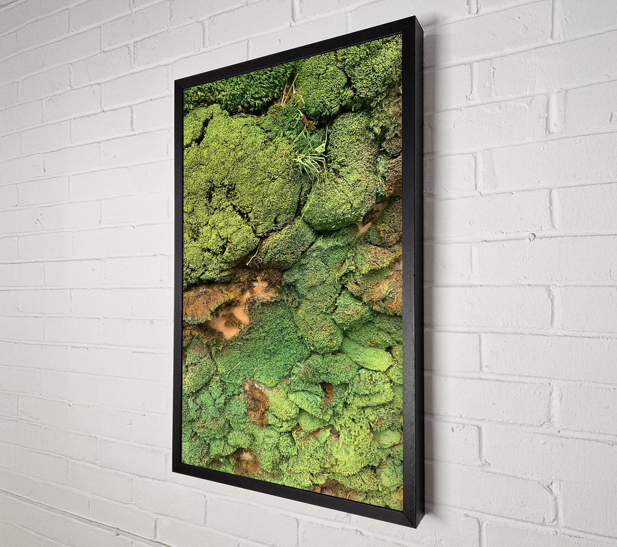 Emerald Mossy Wall Canvas Wall Art