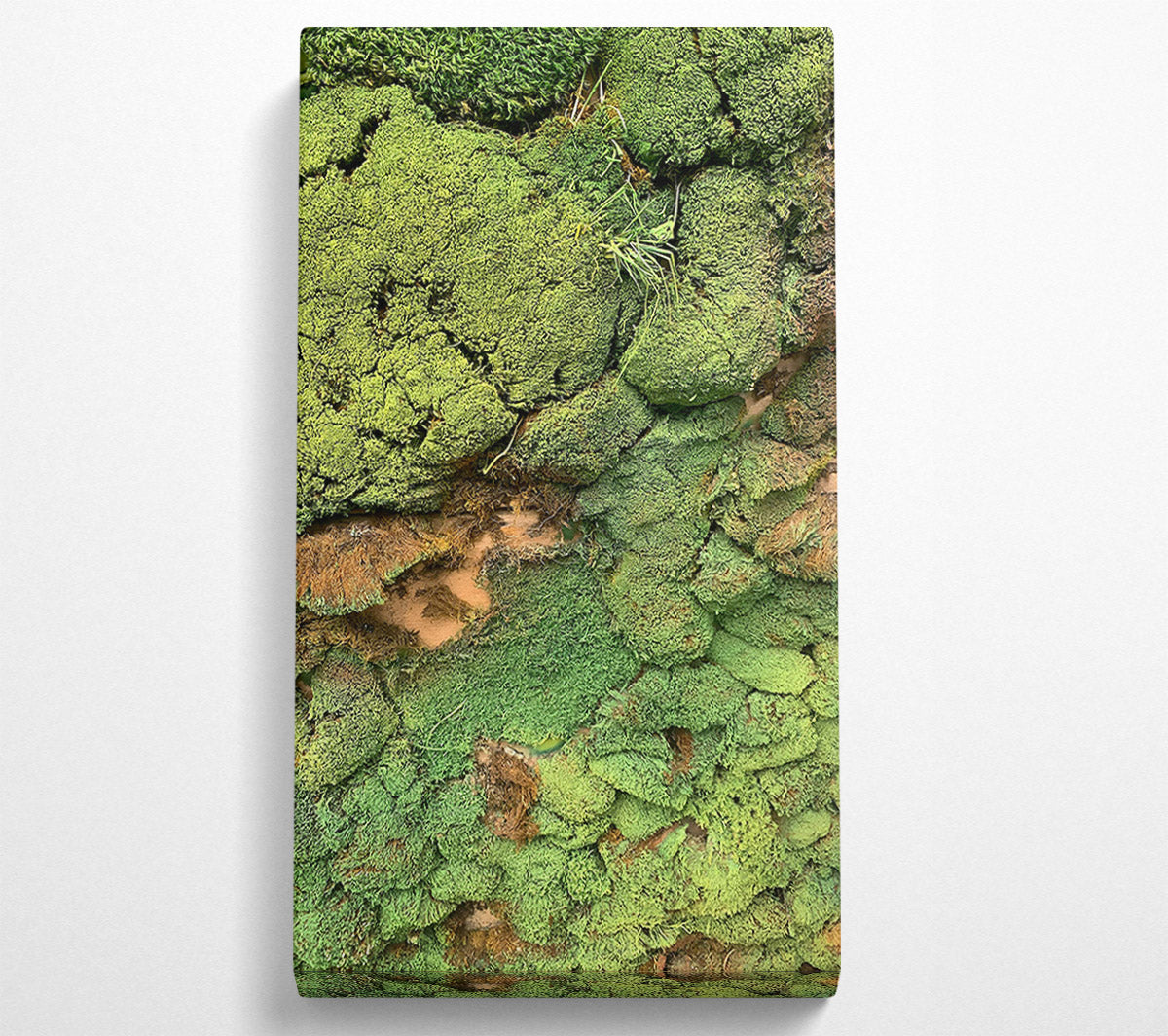 Emerald Mossy Wall Canvas Wall Art