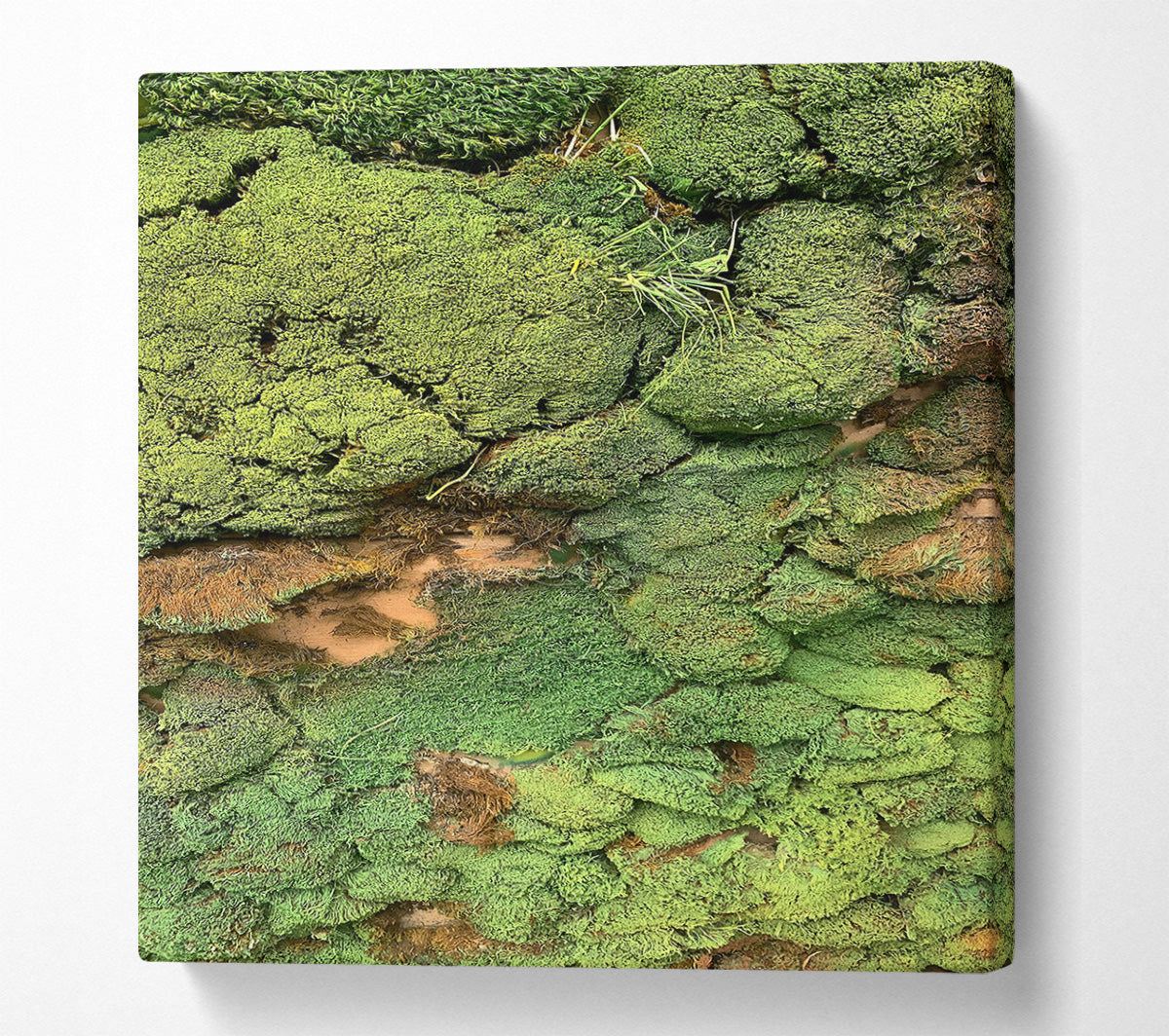 Emerald Mossy Wall Canvas Wall Art