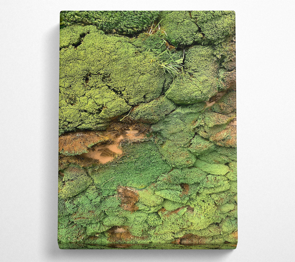 Emerald Mossy Wall Canvas Wall Art