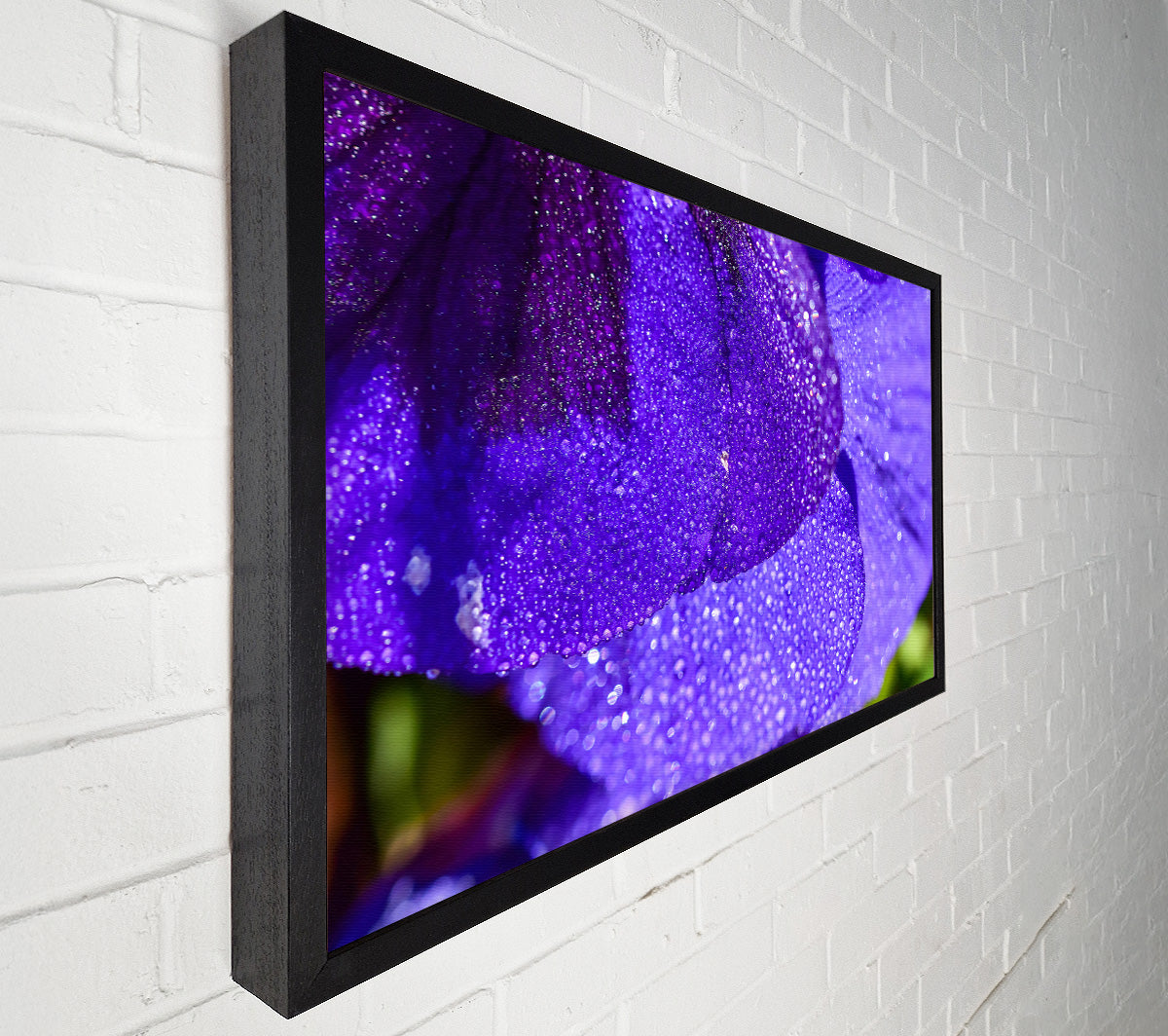 Purple Dewdrops Sparkle Canvas Wall Art
