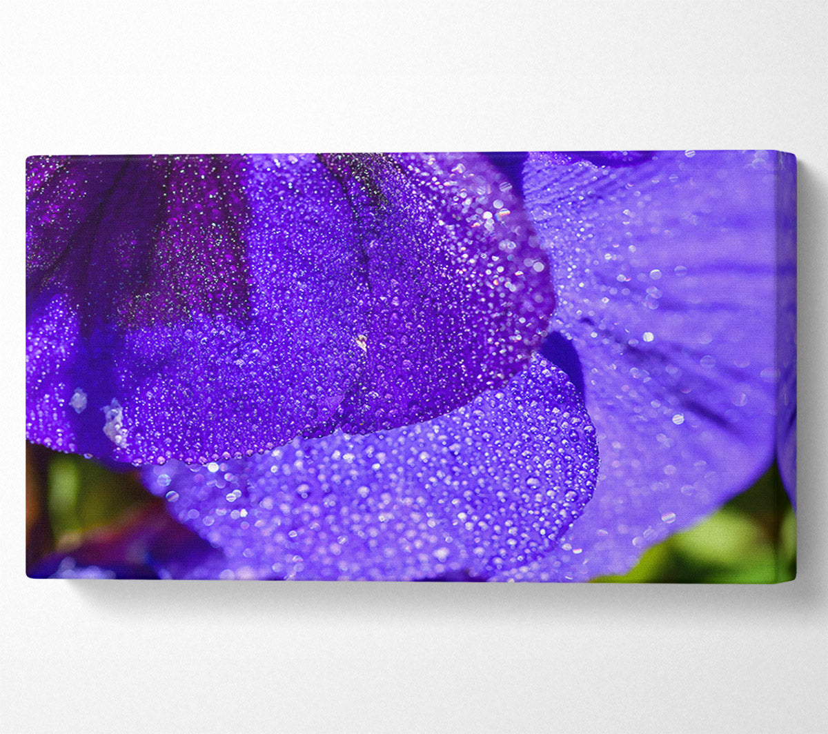 Purple Dewdrops Sparkle Canvas Wall Art