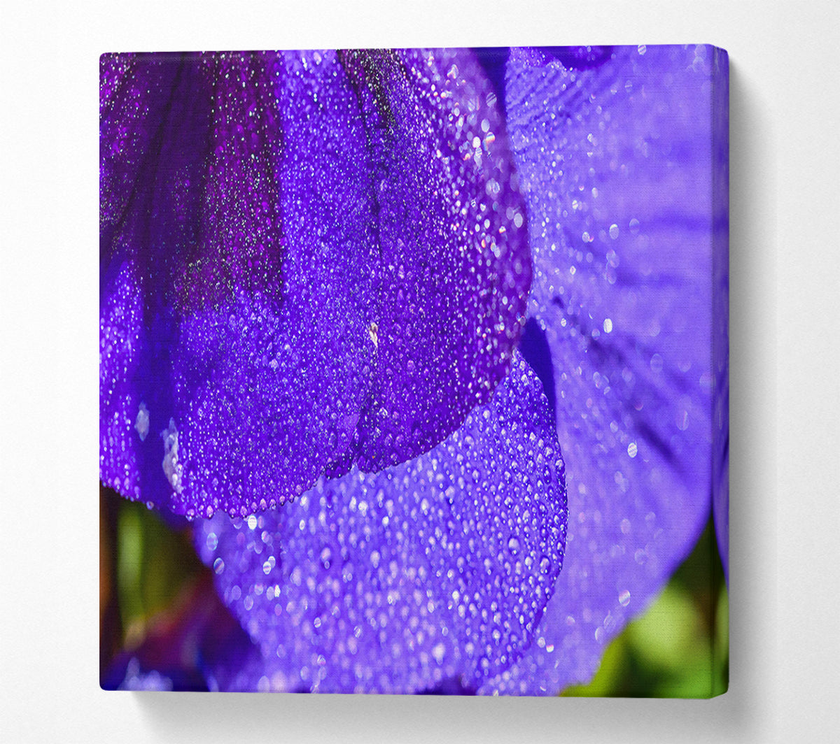 Purple Dewdrops Sparkle Canvas Wall Art