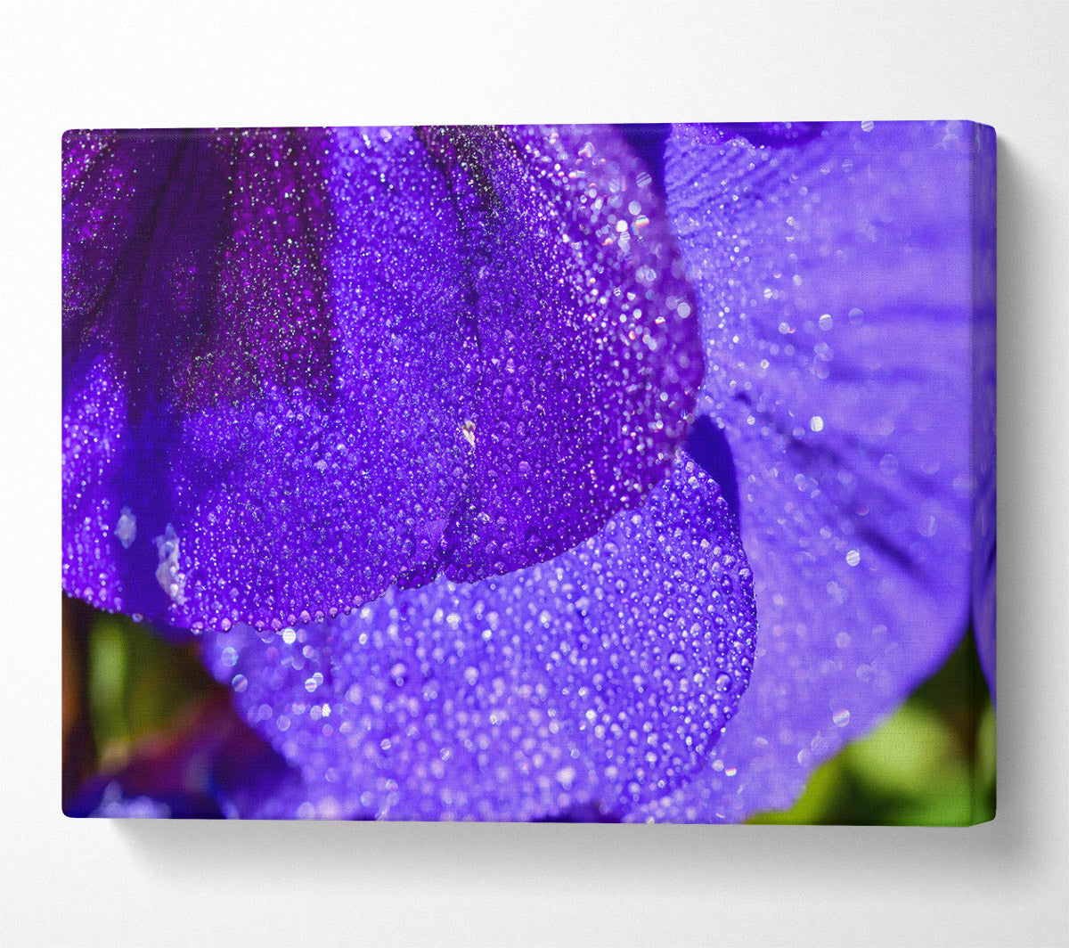 Purple Dewdrops Sparkle Canvas Wall Art