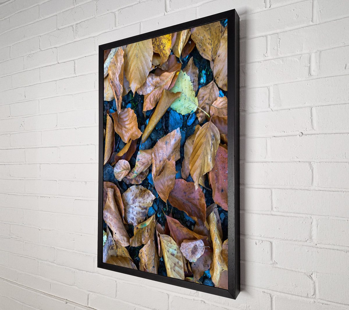 Autumn'S Golden Hues Canvas Print