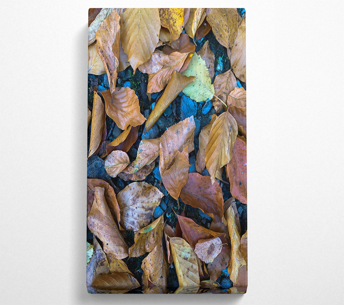 Autumn'S Golden Hues Canvas Print