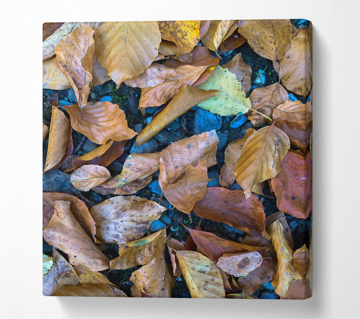 Autumn'S Golden Hues Canvas Print