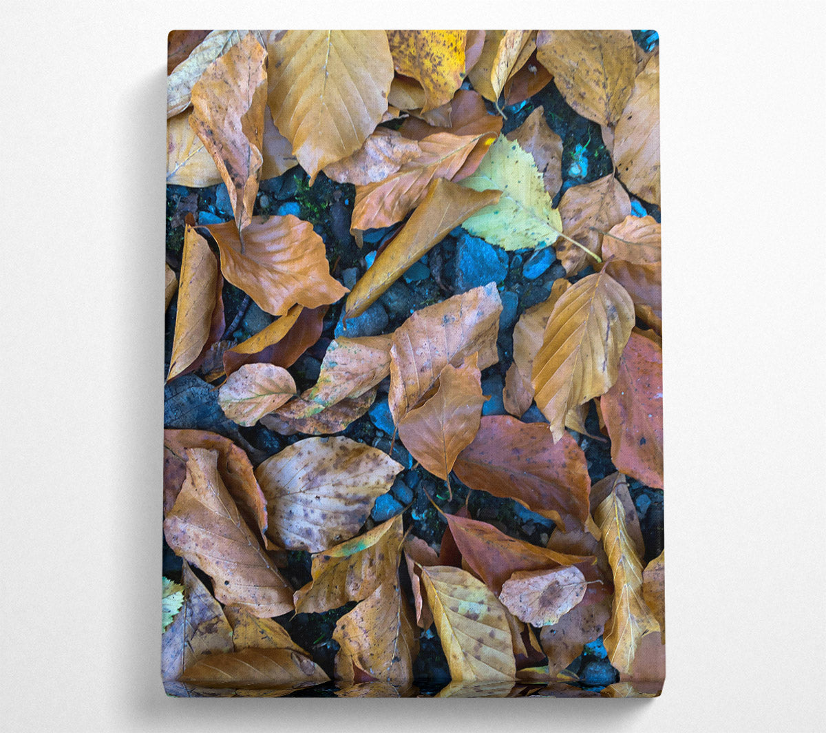 Autumn'S Golden Hues Canvas Print