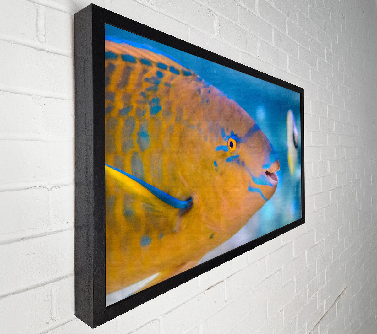 Golden Blue Blends Canvas Wall Art