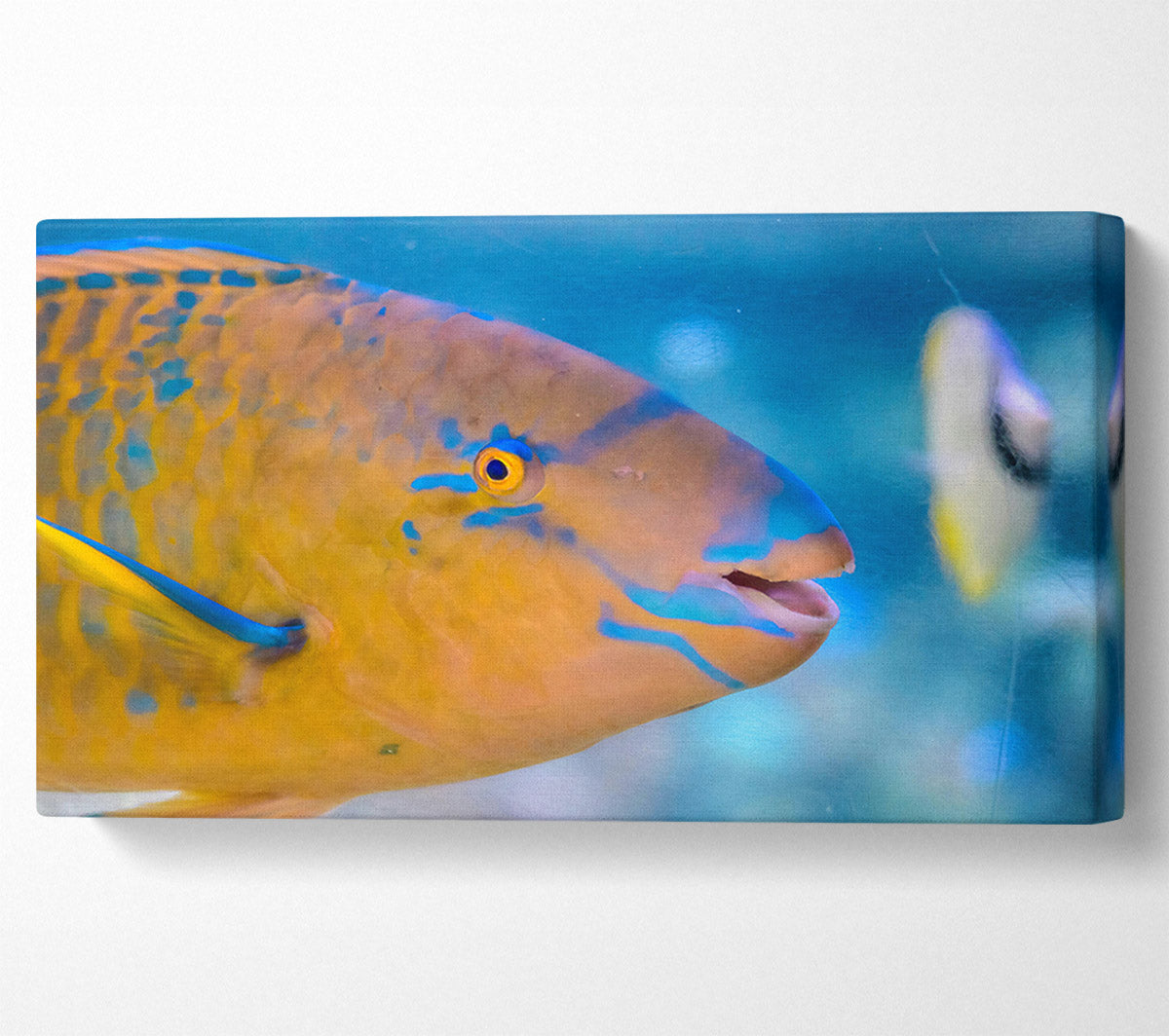 Golden Blue Blends Canvas Wall Art