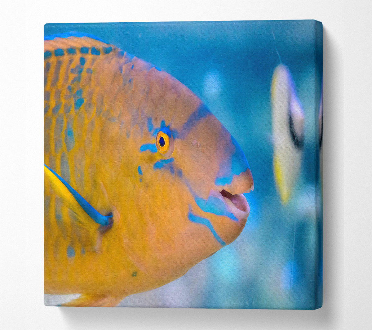 Golden Blue Blends Canvas Wall Art